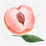 看片免费导航APP应用