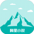 麻豆传媒视频APP应用