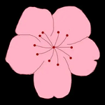 WWW,av266·COM网站APP