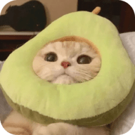 91综合视频APP